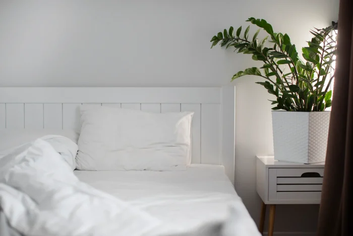 Ejemplo colchón + almohada - Imagen 1